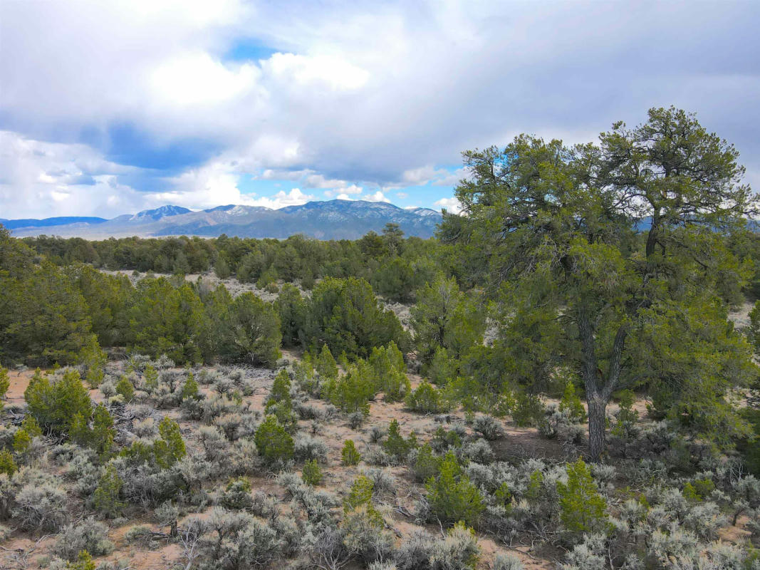 40 ACRES US FOREST ROAD 556, CARSON, NM 87517, photo 1 of 13