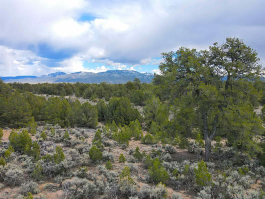 40 ACRES US FOREST ROAD 556, CARSON, NM 87517 - Image 1