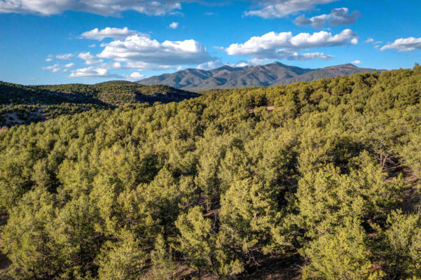 CAMINO MONTE AZUL THREE TERRACES, ARROYO HONDO, NM 87513, photo 5 of 12