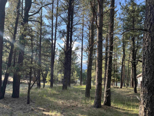 LOT 8 PINE VALLEY DR, ANGEL FIRE, NM 87710, photo 3 of 6