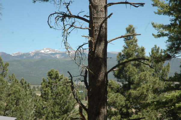 LOT 28 CH 2E SNOWMASS ROAD, ANGEL FIRE, NM 87710 - Image 1