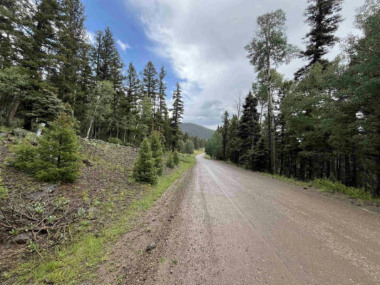 LOT 1498 PANORAMA WAY, ANGEL FIRE, NM 87557, photo 3 of 9