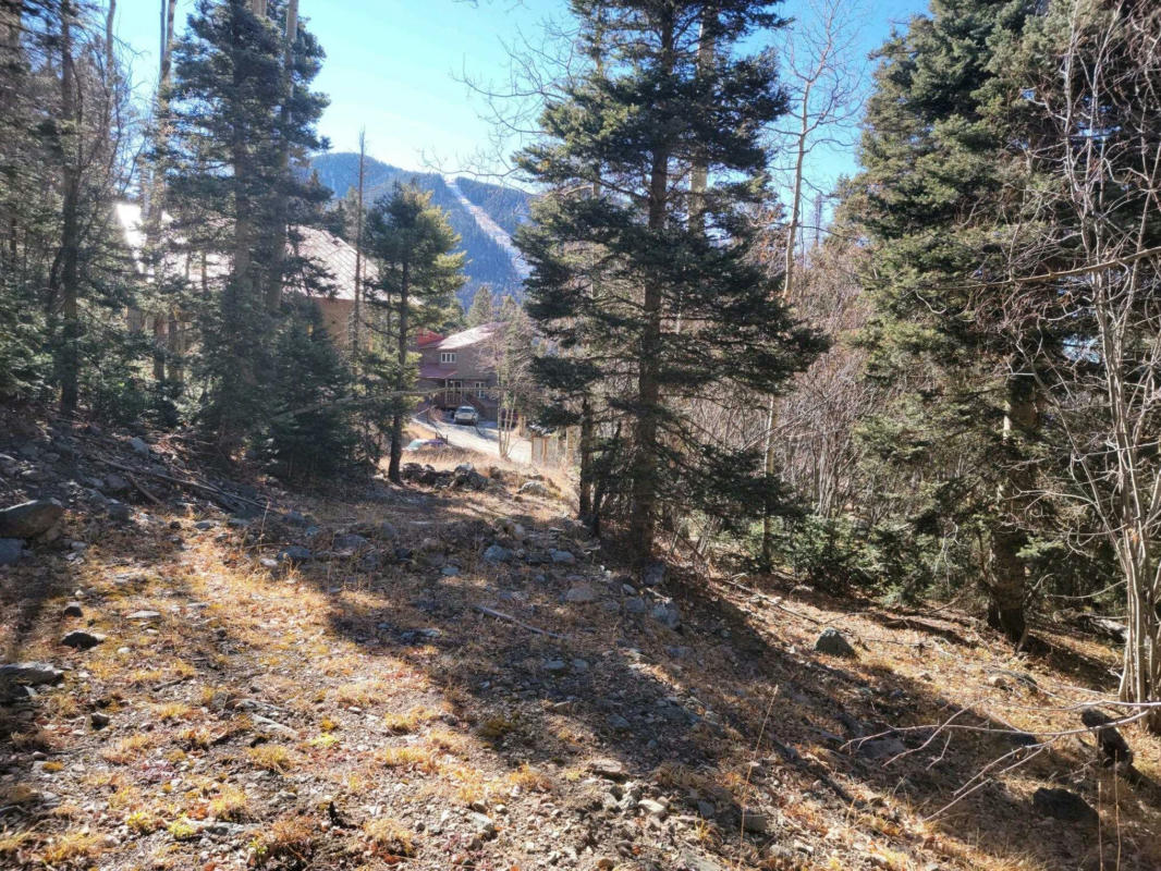 LOT 1A SNOWSHOE ROAD, TAOS SKI VALLEY, NM 87525, photo 1 of 20