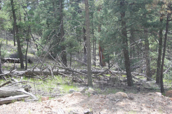 TBD RD 9, EAGLE NEST, NM 87718 - Image 1