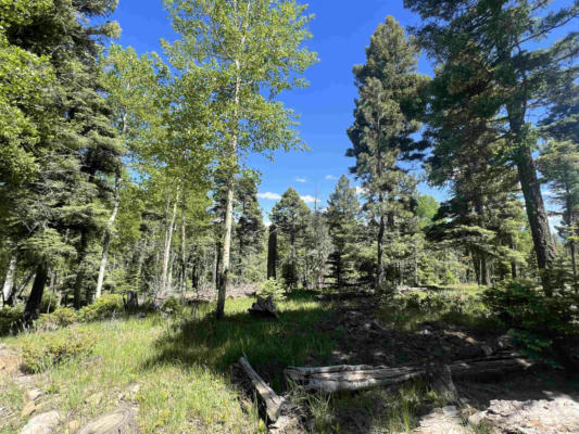 183 TAOS DR, ANGEL FIRE, NM 87710 - Image 1