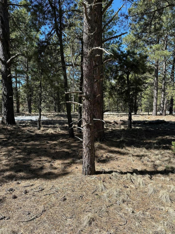 66 MORA RANCH RD, ANGEL FIRE, NM 87710, photo 1 of 7