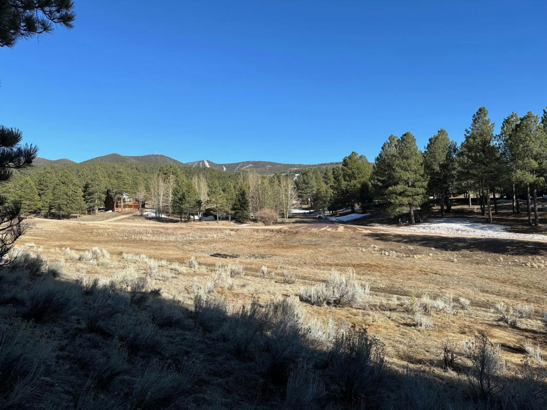 LOT 7 BLK C ALTA RD, ANGEL FIRE, NM 87710, photo 1 of 6