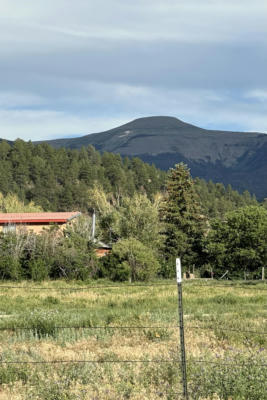 41 CAMINO DE ABAJO RD, VADITO, NM 87579, photo 3 of 22