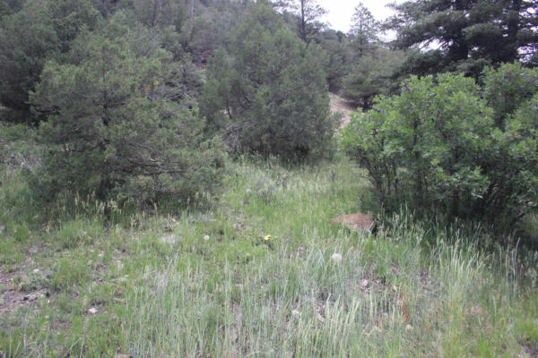 5 ACRES CABRESTO CANYON, QUESTA, NM 87556, photo 2 of 4