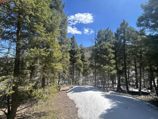 LOT 369 VAIL LOOP, ANGEL FIRE, NM 87710, photo 2 of 10