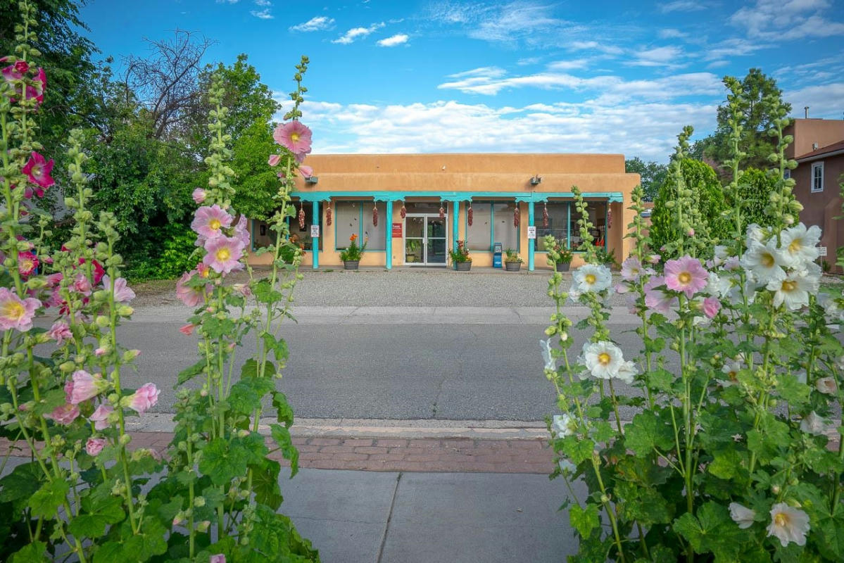 114 DONA LUZ, TAOS, NM 87571, photo 1 of 30