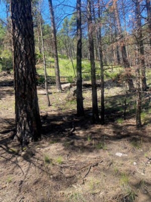 LOT 19 CHRISTMAS TREE CANYON, SIERRA BONITA, NM 87722, photo 4 of 7