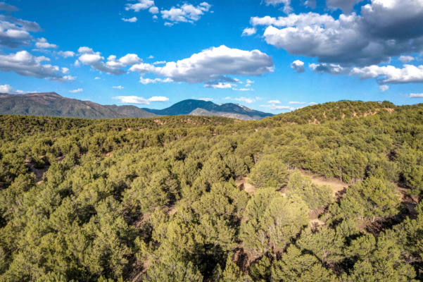 CAMINO MONTE AZUL THREE TERRACES, ARROYO HONDO, NM 87513, photo 4 of 12