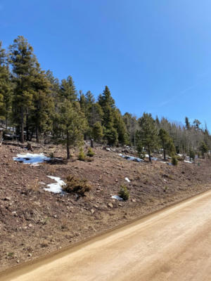 LOT 1133 EL CAMINO REAL, ANGEL FIRE, NM 87710, photo 4 of 5